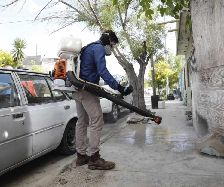 Intensifica Escobedo combate contra la rickettsiosis