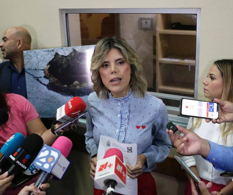 Denuncia diputada desinterés de Miguel Treviño por reparar socavón