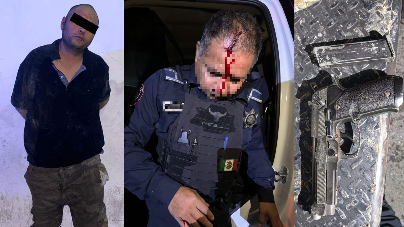 Plecas e informacion (18)