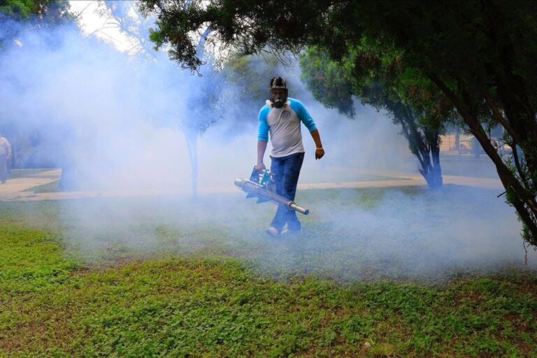 dengue