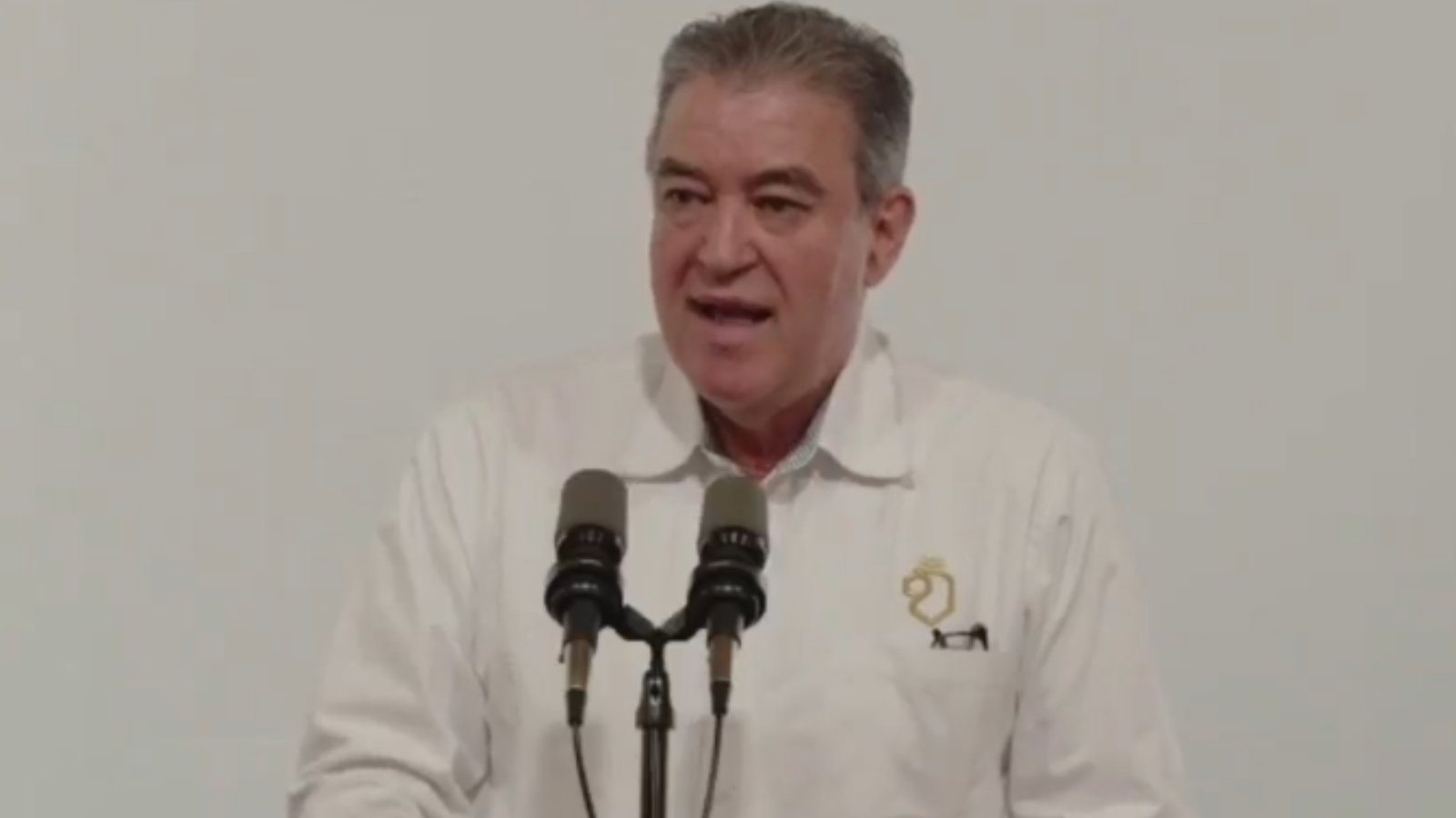 Plecas e informacion (47)