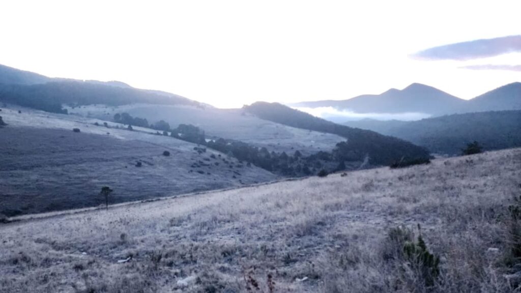 Comunidad Los Mimbres en Galeana amanece cubierta de nieve