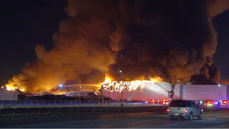 Tragedia en Dallas: Más de 500 animales mueren en incendio de centro comercial