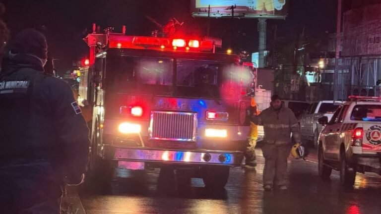 WhatsApp Image 2025-01-11 at 10.52.40 AM