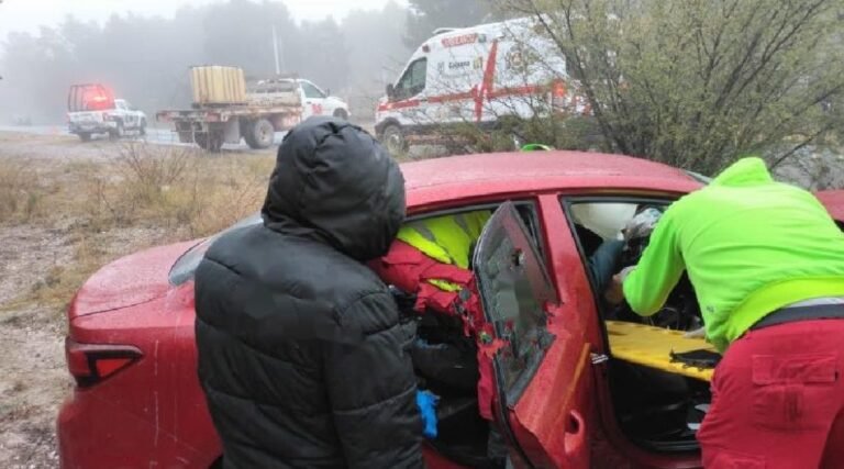 WhatsApp Image 2025-01-11 at 10.53.48 AM