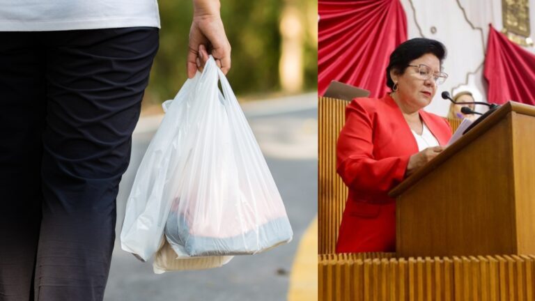 Proponen reforzar prohibición de bolsas y popotes plásticos en NL