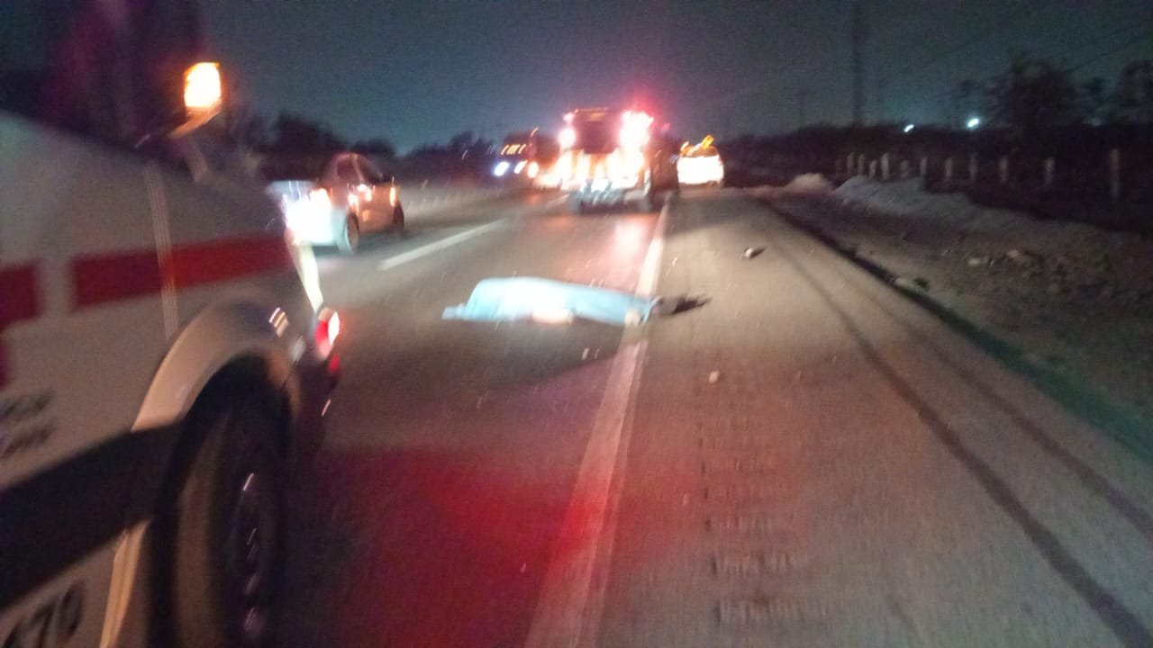 Imagen de WhatsApp 2025-03-23 a las 11.05.19_56cb414a