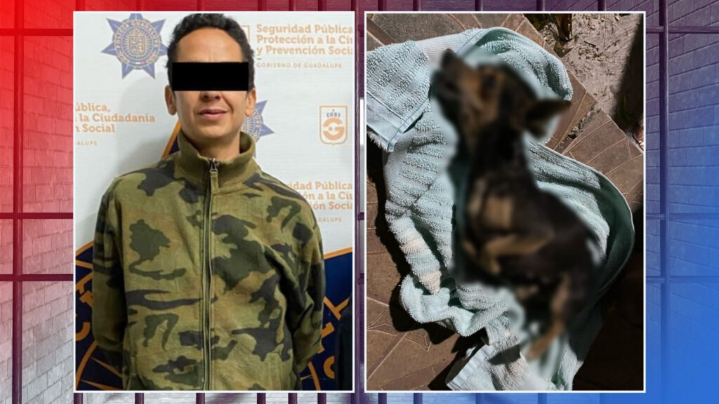 Detienen a hombre por lanzar a perrita desde azotea en Guadalupe