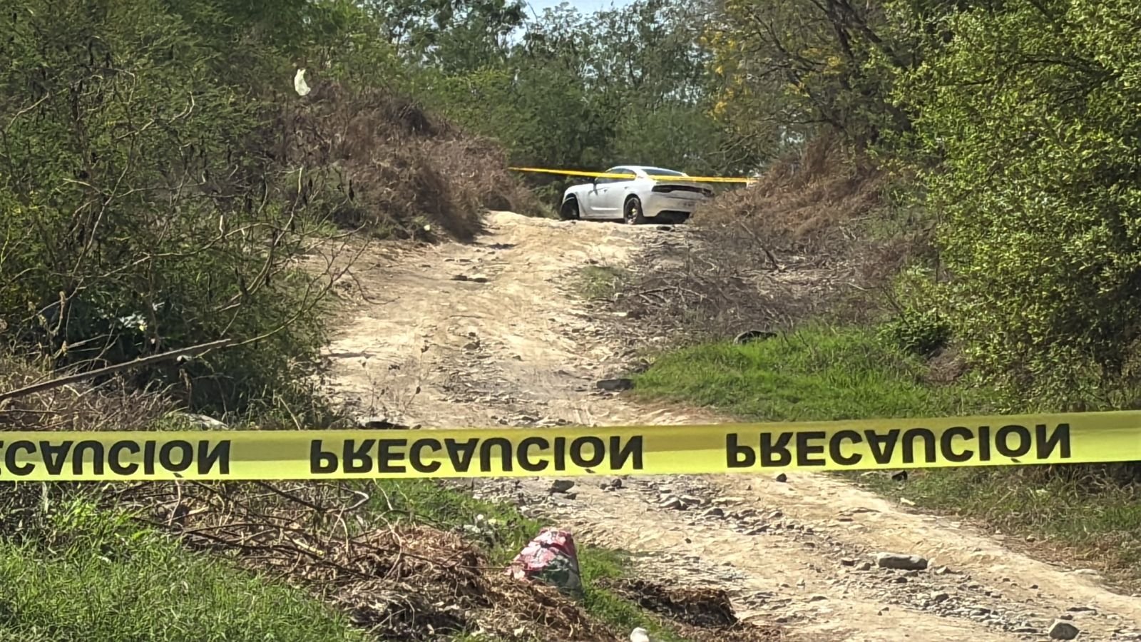 WhatsApp Image 2025-03-18 at 10.51.35 AM