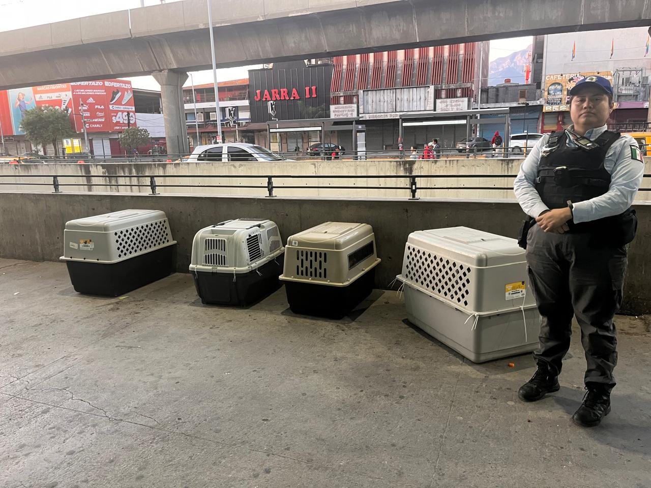 0701bf74-9f12-468d-a6c0-f61ef863b88f