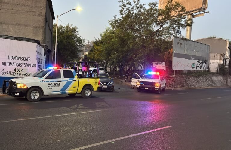 54681523-216f-4f43-a91d-6c1f96478f81