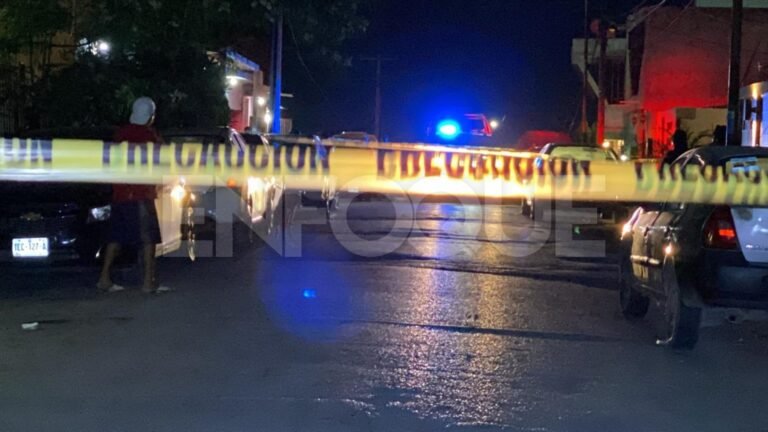 Plecas e informacion