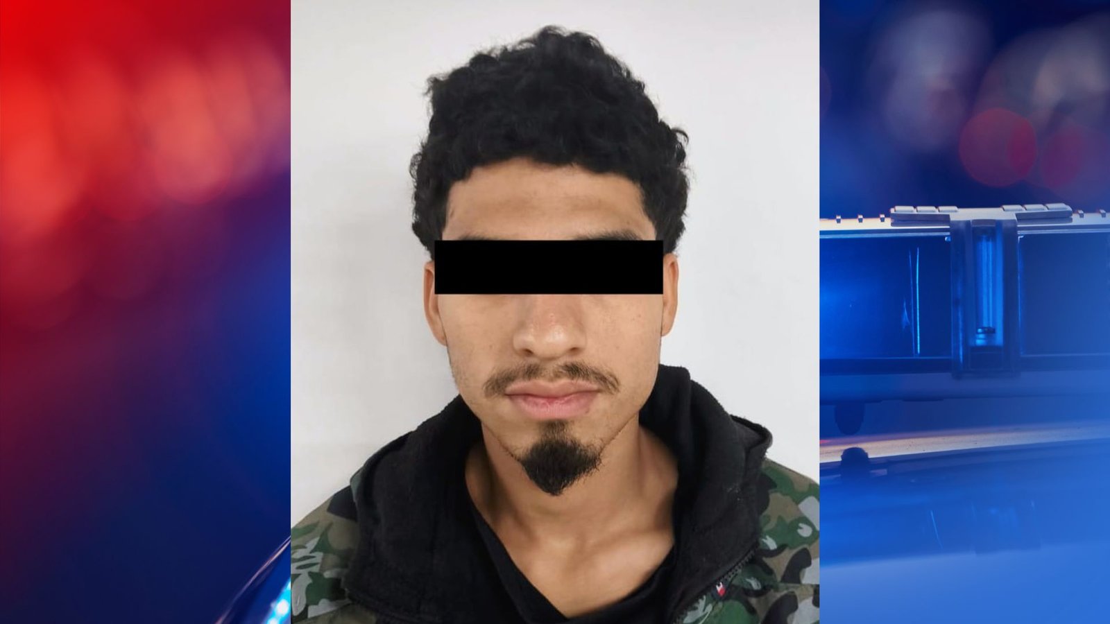 Plecas e informacion