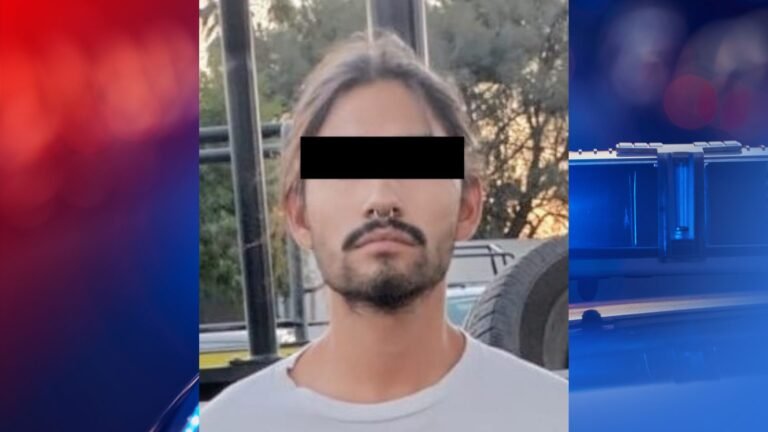 Plecas e informacion (1)