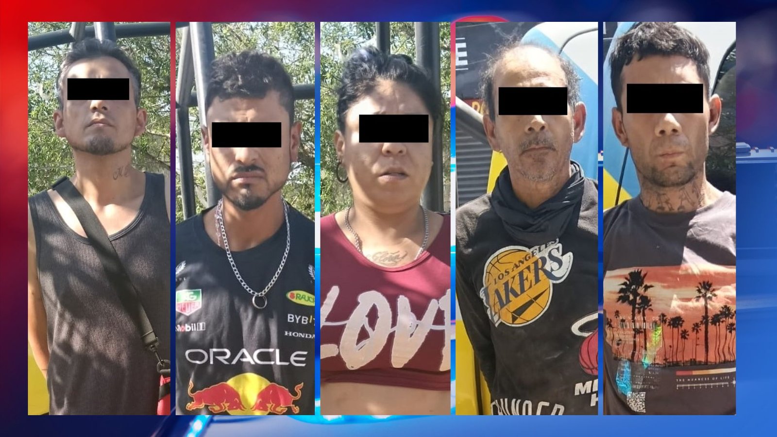 Plecas e informacion (2)