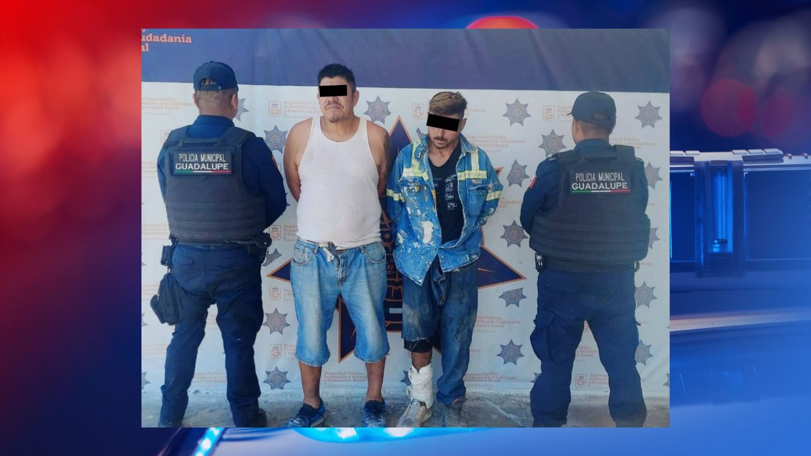 Plecas e informacion (3)