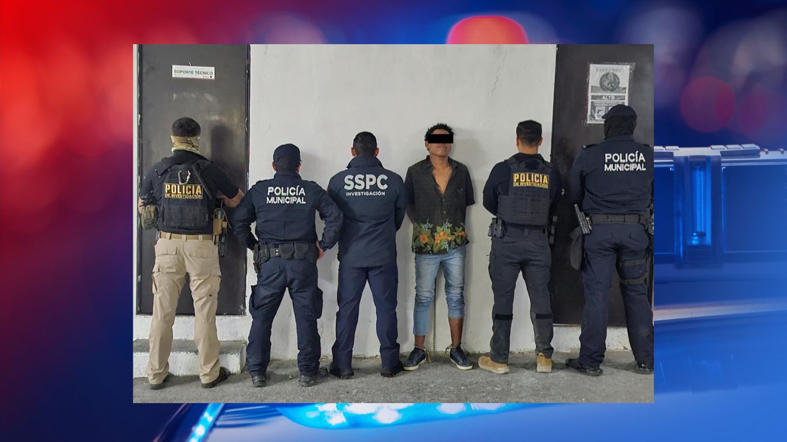 Plecas e informacion (4)