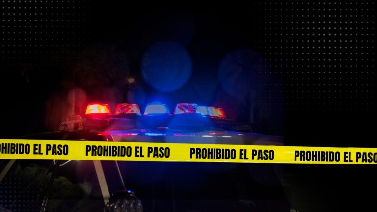 Seguridad Generica