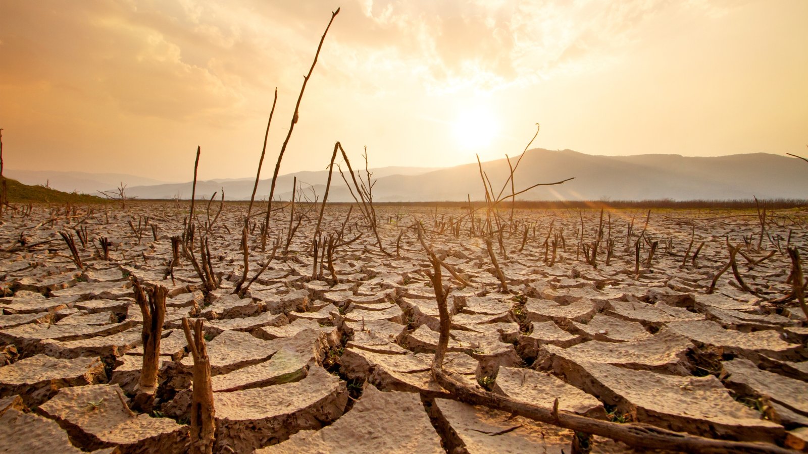 Alerta en Anáhuac, entra en categoría de sequía extrema