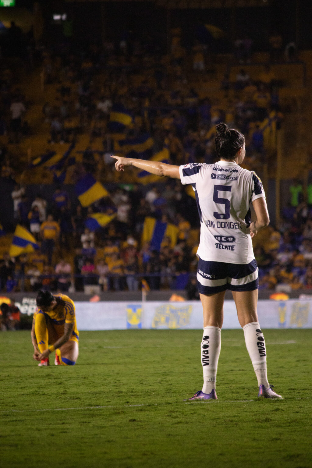 Tigres y rayadas