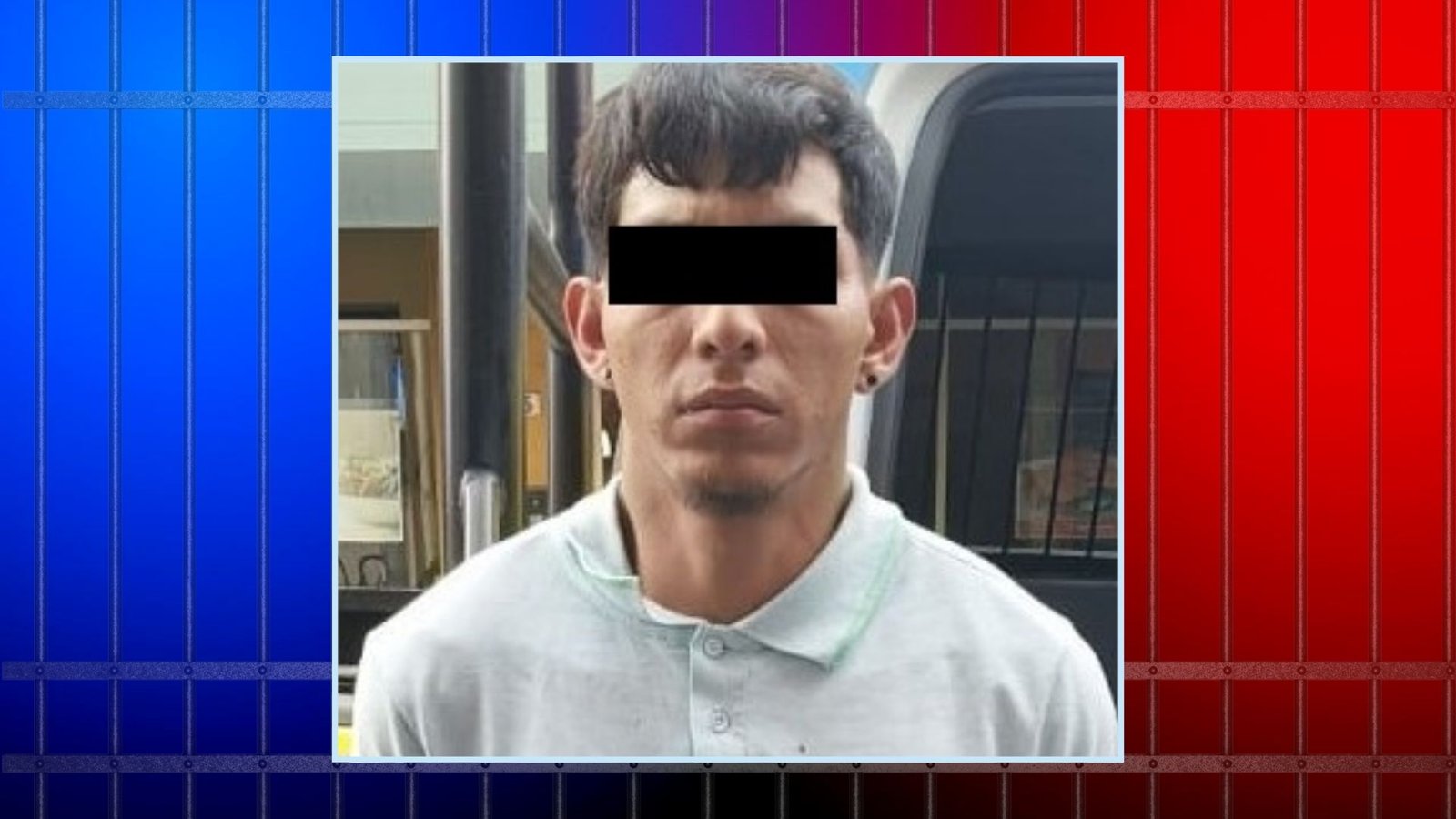 Plecas e informacion