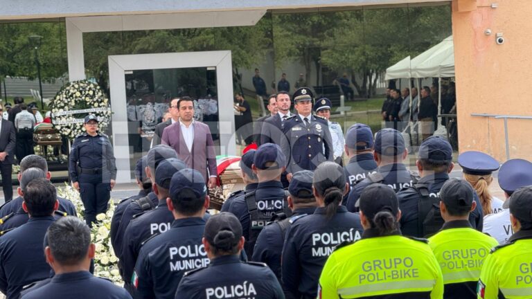 Plecas e informacion (1)