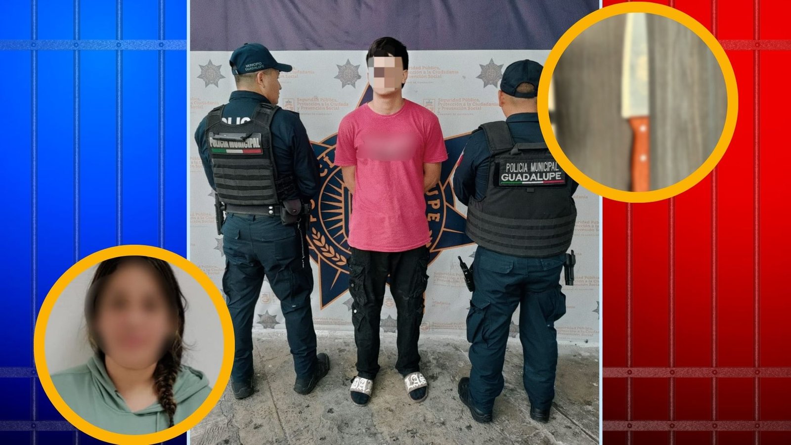 Plecas e informacion