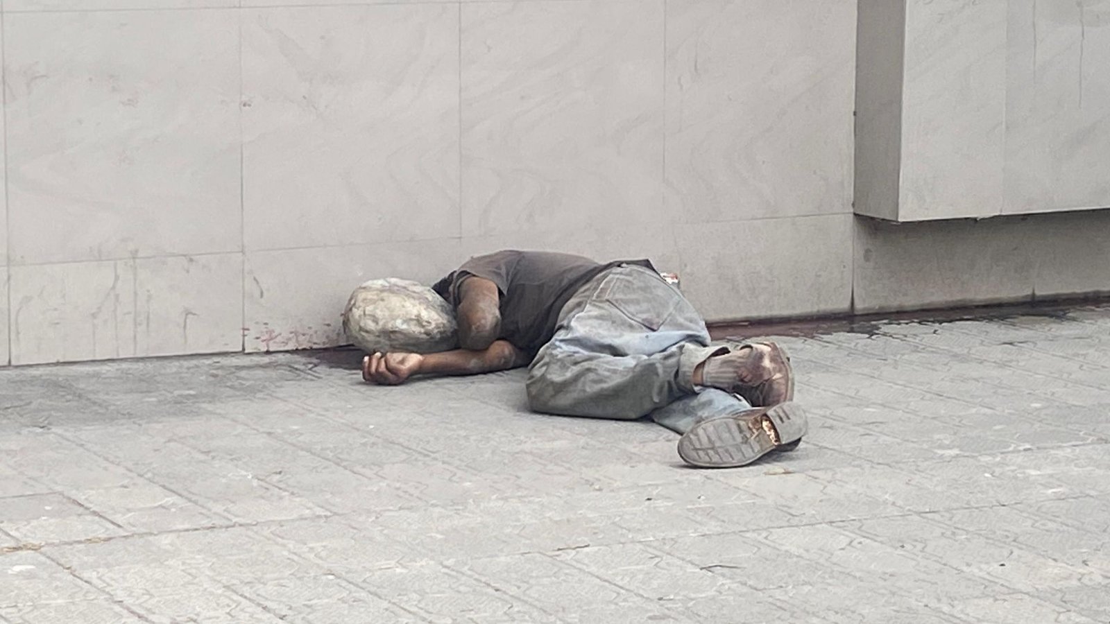 Plecas e informacion (1)