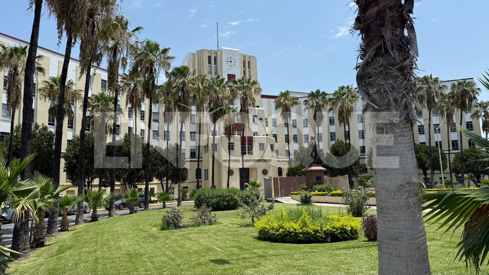 Plecas e informacion