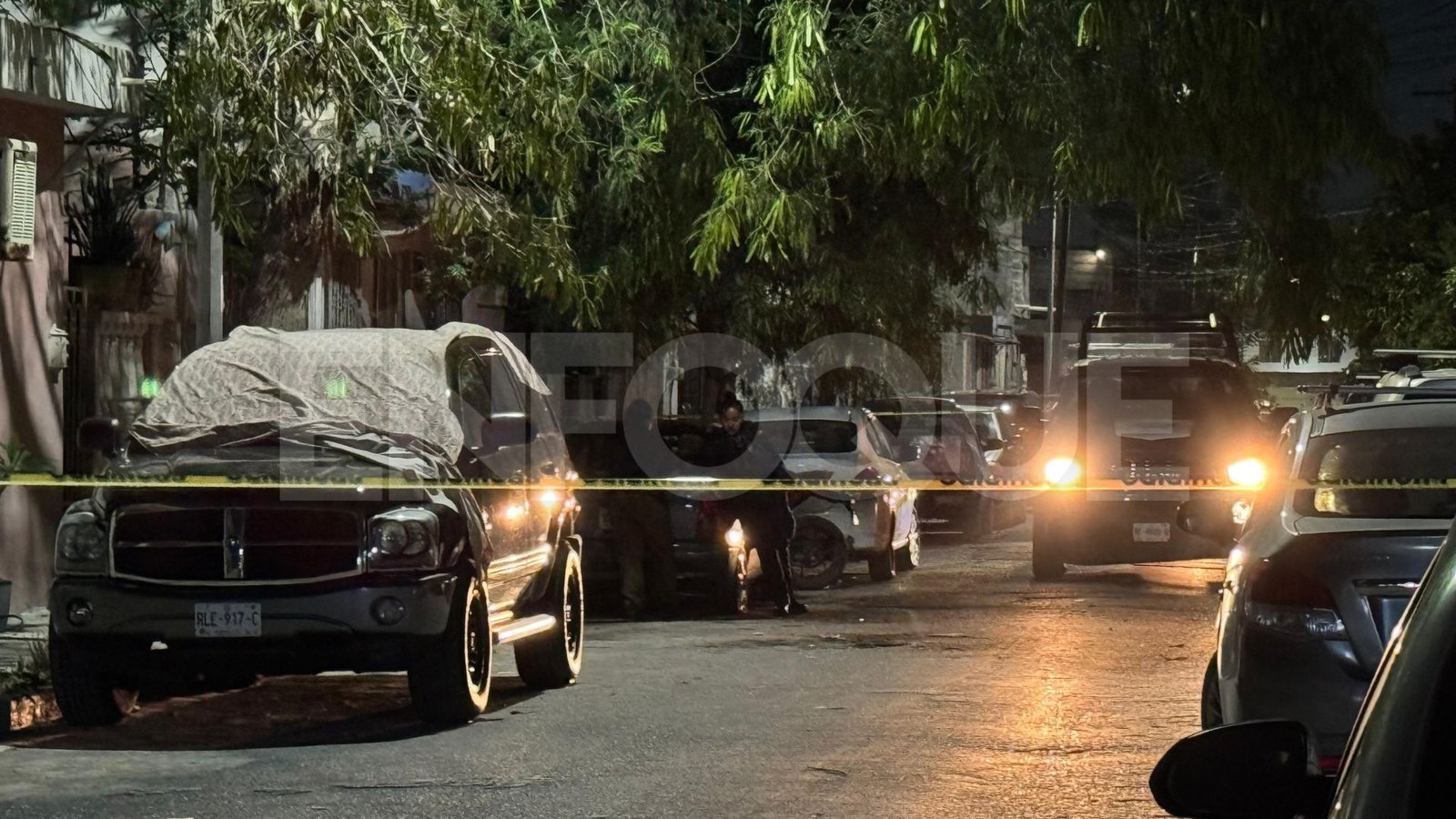 Plecas e informacion (5)