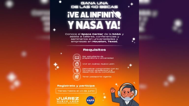 Plecas e informacion (8)