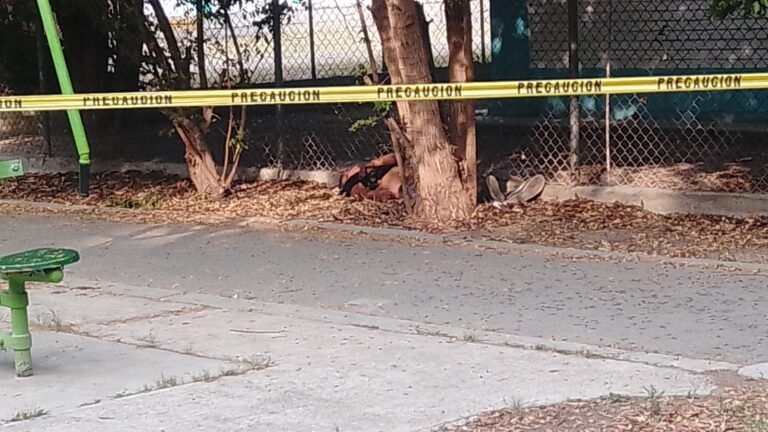 WhatsApp Image 2025-05-29 at 10.50.53 AM