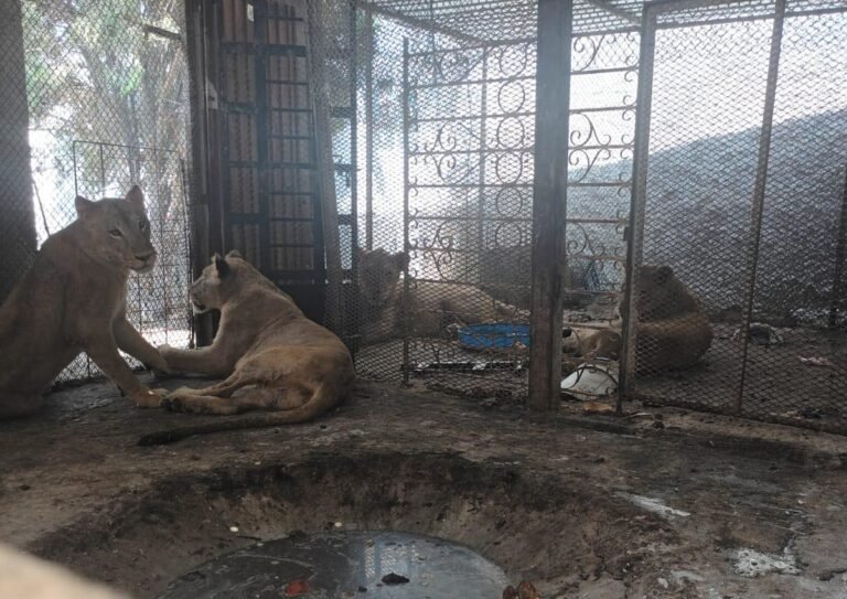 494695175_1283932796453207_649058119035780880_n