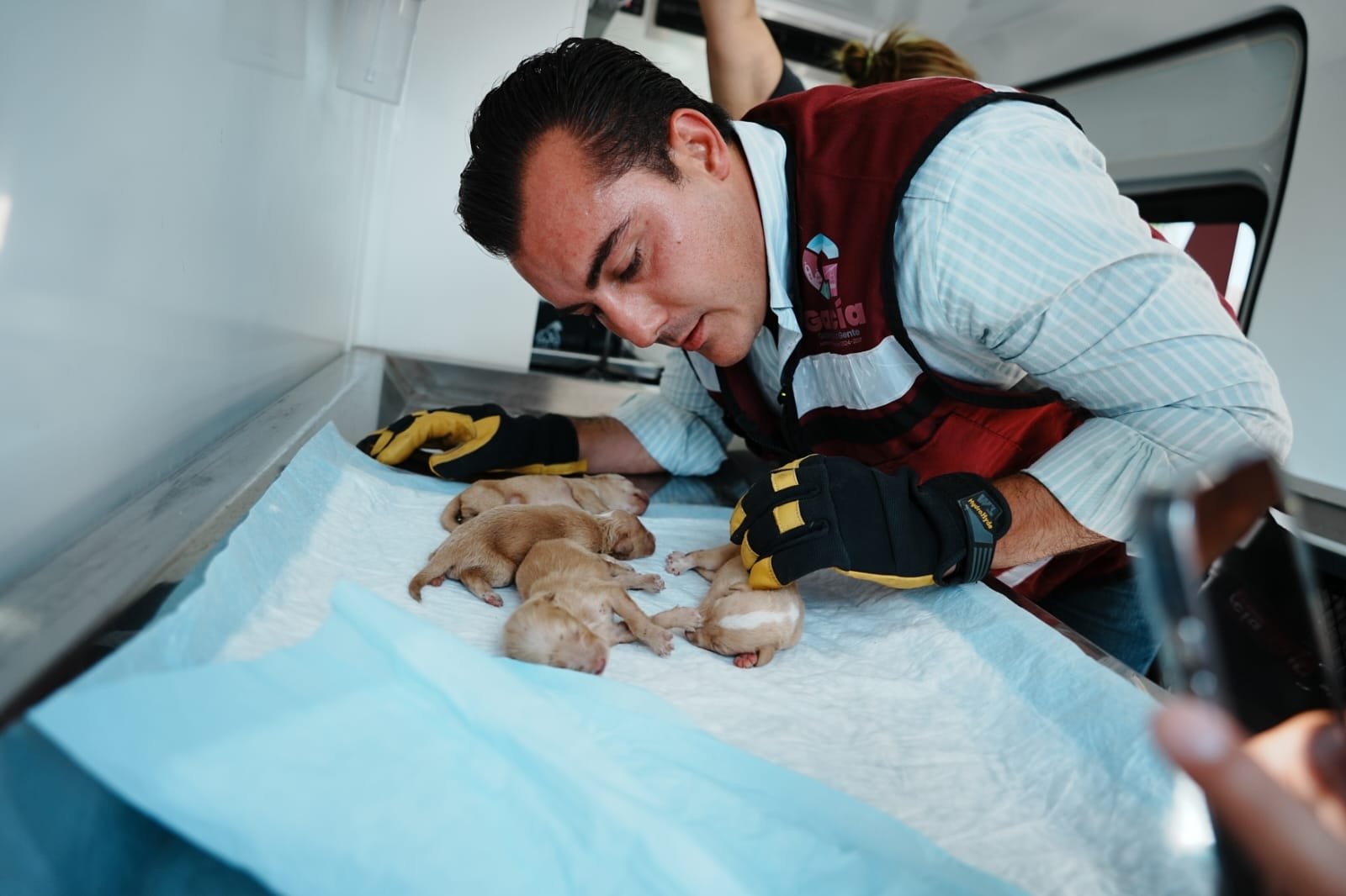 9251282d-f5e2-4504-85e2-299417dc86ef