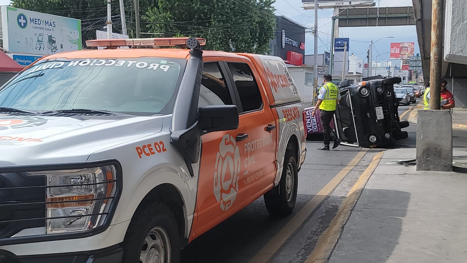 Imagen de WhatsApp 2025-06-28 a las 11.10.09_91a30cb3