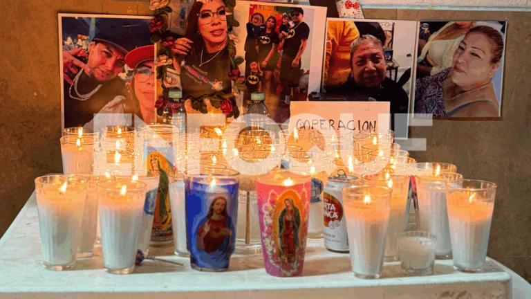 Plecas e informacion