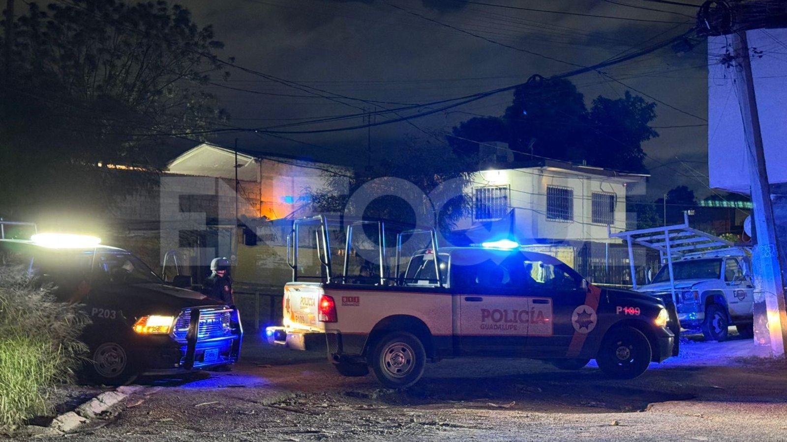 Plecas e informacion (10)