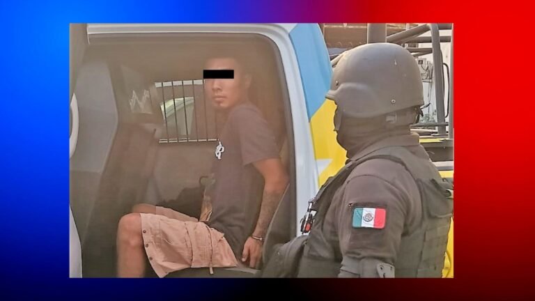 Plecas e informacion (2)