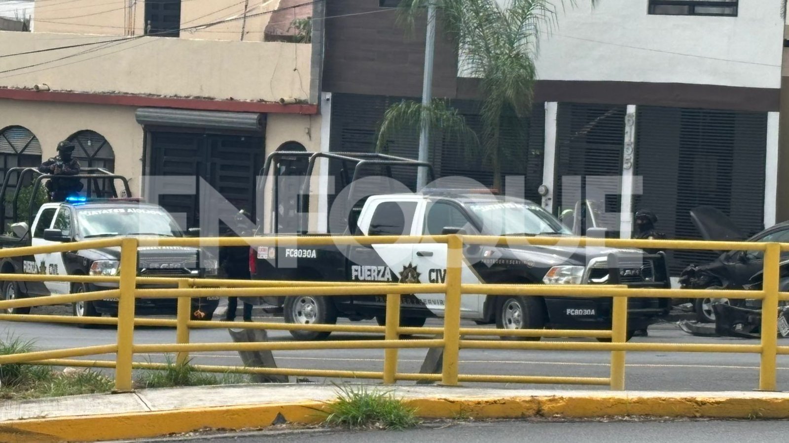 Plecas e informacion (2)