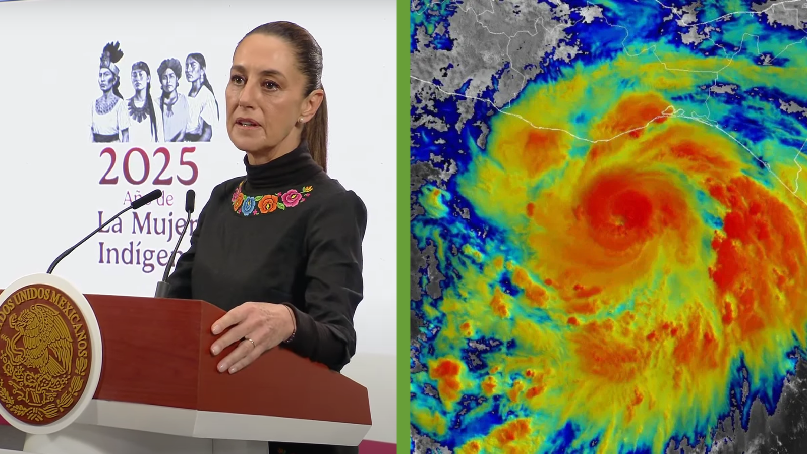 Plecas e informacion (21)