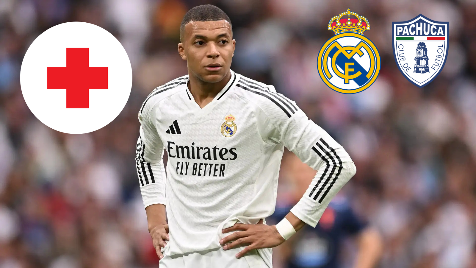 Plecas e informacion (26)