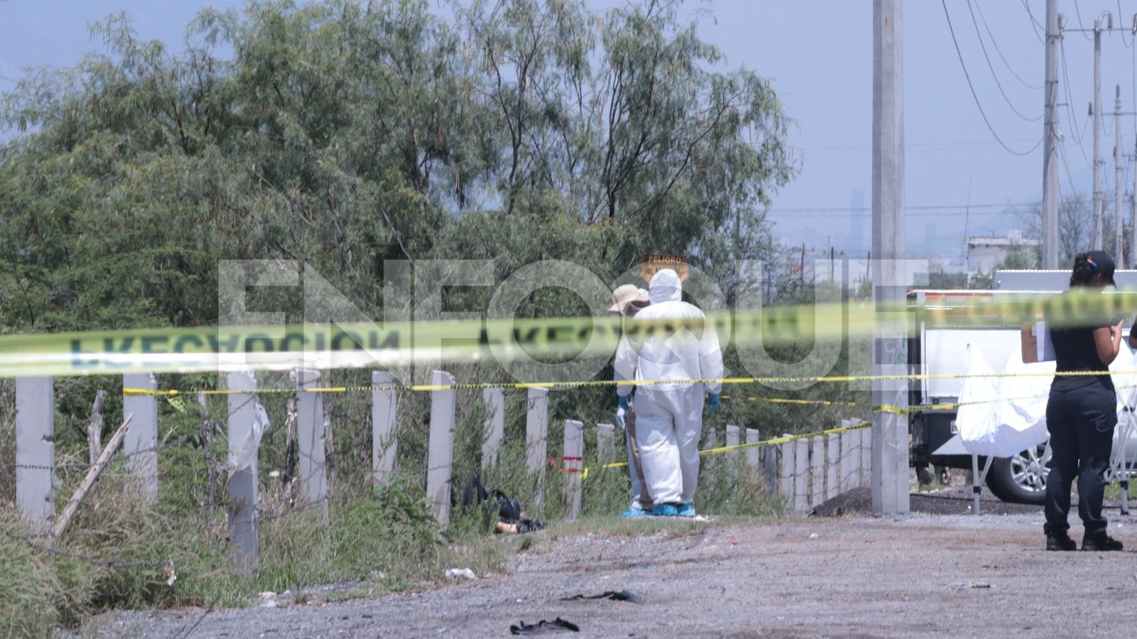 Plecas e informacion (4)