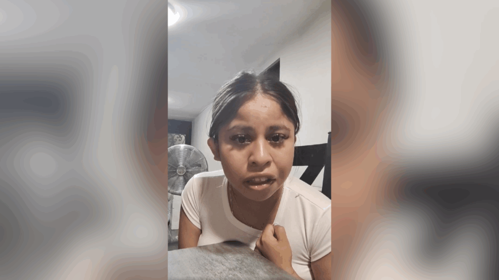 Plecas e informacion (48)