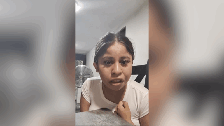 Plecas e informacion (48)