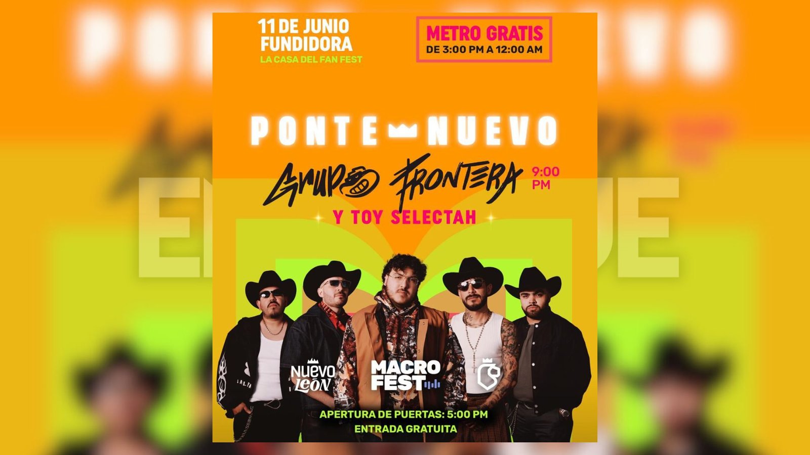 Plecas e informacion (5)