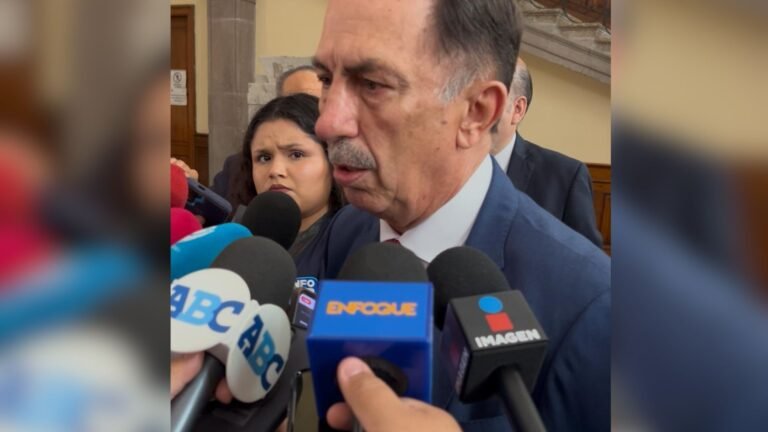 Plecas e informacion (5)