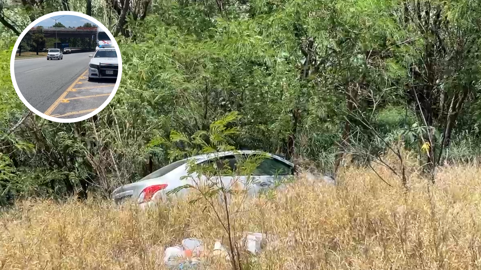 Plecas e informacion (54)