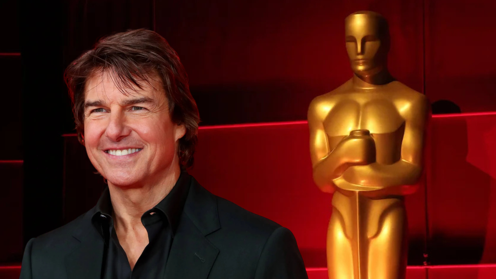 Plecas e informacion (6)