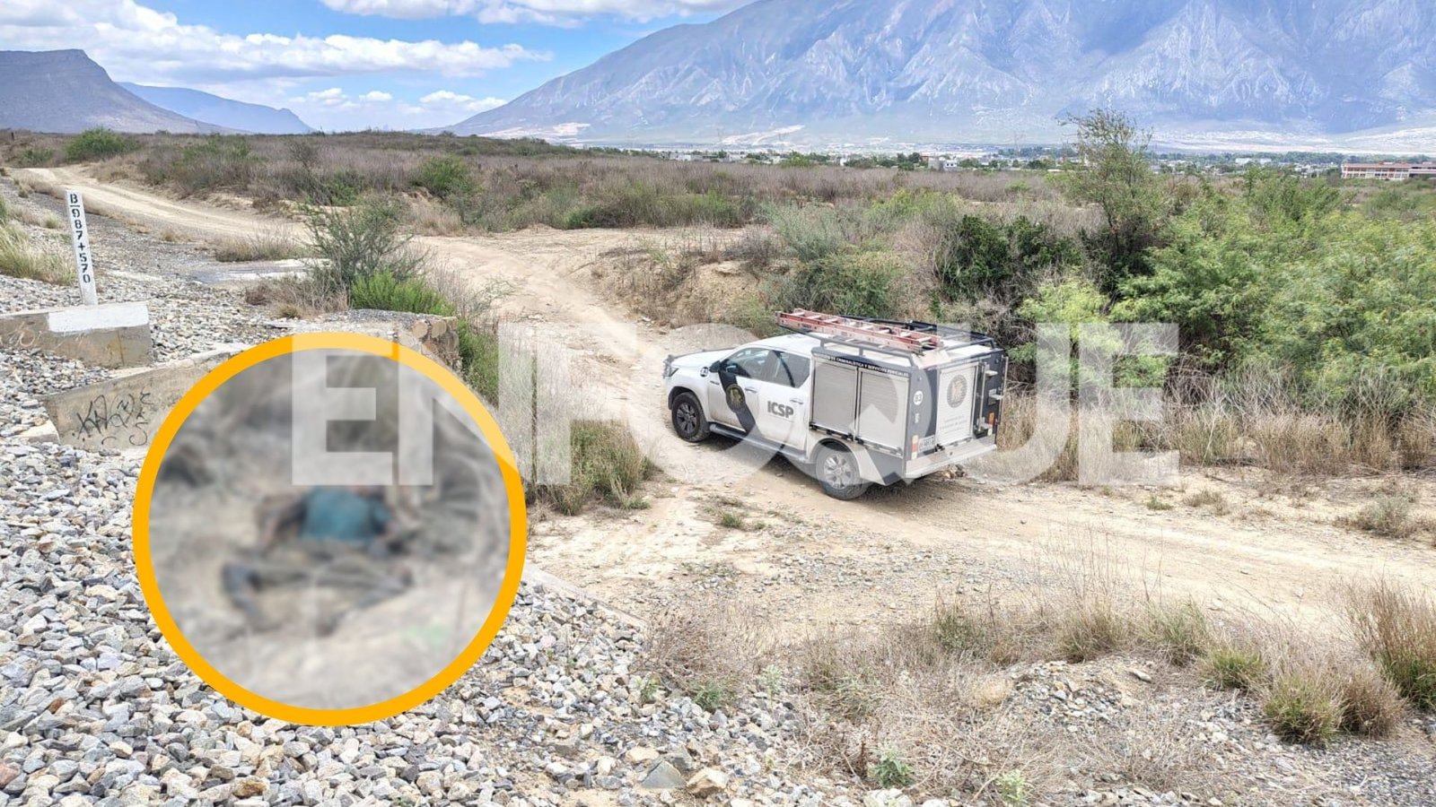 Plecas e informacion (9)