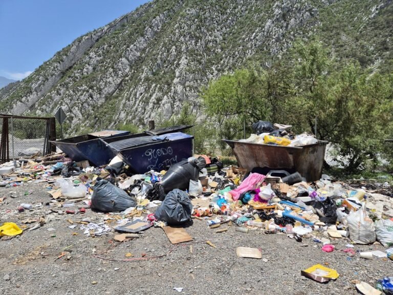 RealizanLimpiezaEnHuastecaParaProtegerFaunaSanearElRío03